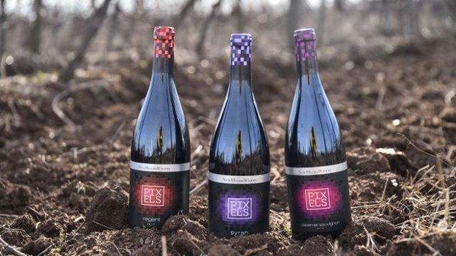 New Bloom Winery инвестира в 2000 дка лозови масиви