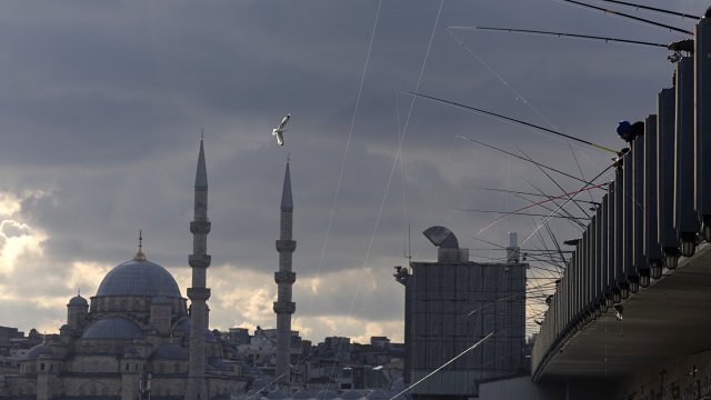 Снимка: БГНЕС/EPA/TOLGA BOZOGLU