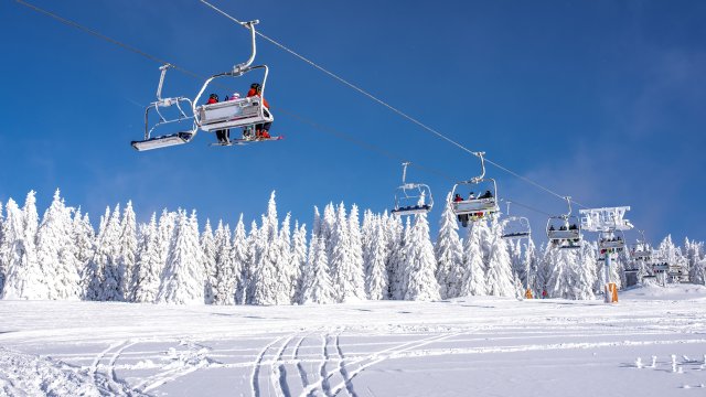 Снимка: freepik