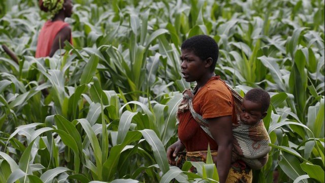 <p>
	<em>Снимка: Ройтерс</em></p>
