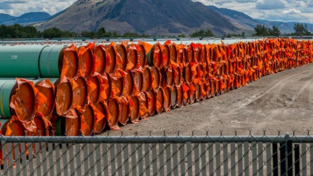 <p>
	<em>Снимка: Ройтерс</em></p>
