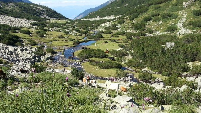 <p>
	<em>Снимка: Investor.bg</em></p>
