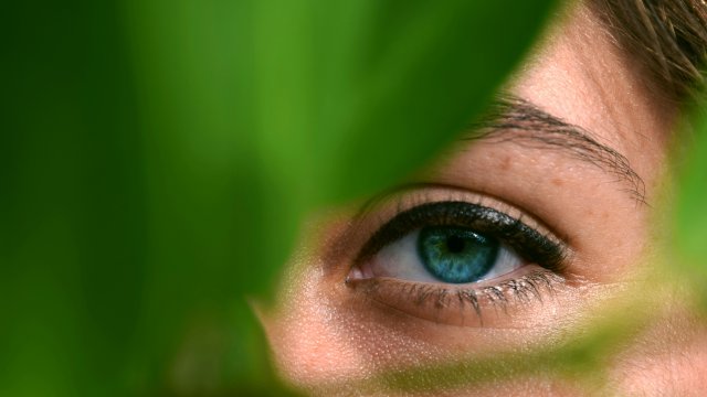 Снимка: unsplash.com