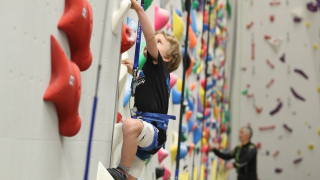 Снимка: Димитър Кьосемарлиев, Investor Media Group