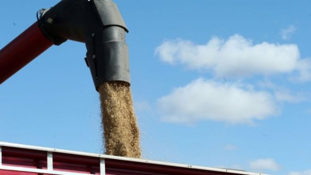 <p>
	<em>Снимка: Bloomberg Creative Photos</em></p>
