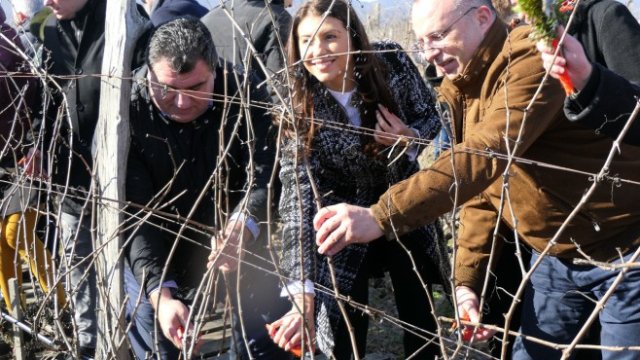 <p>
	<em>Снимка: МЗХГ</em></p>
