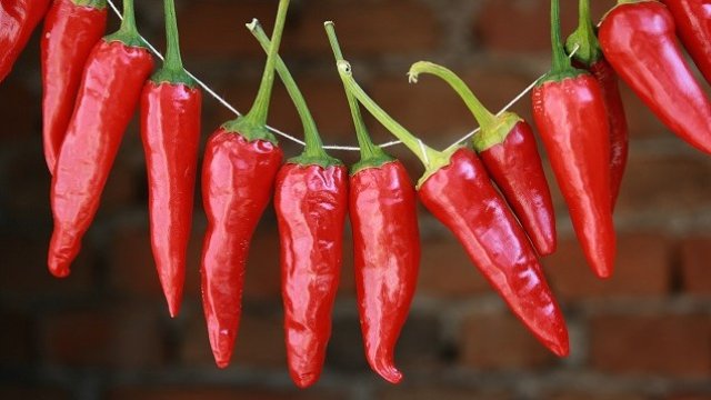 <p>
	<em>Снимка: БТА</em></p>
