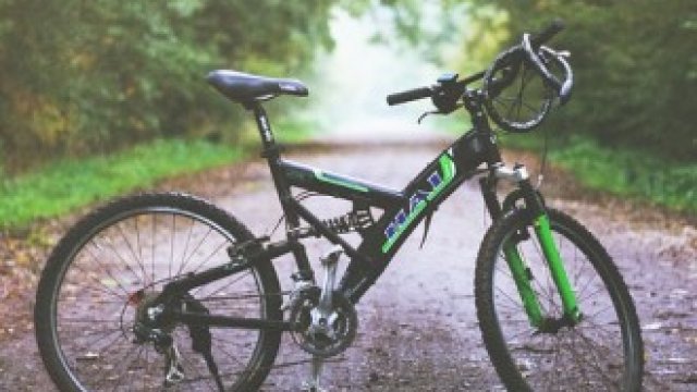 <p>
	<em>Снимка: Pixabay.com</em></p>
