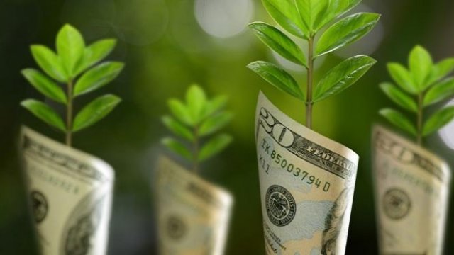 <p>
	<em>Снимка: ELANA</em></p>
