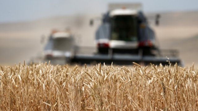 <p>
	<em>Снимка: Ройтерс</em></p>
