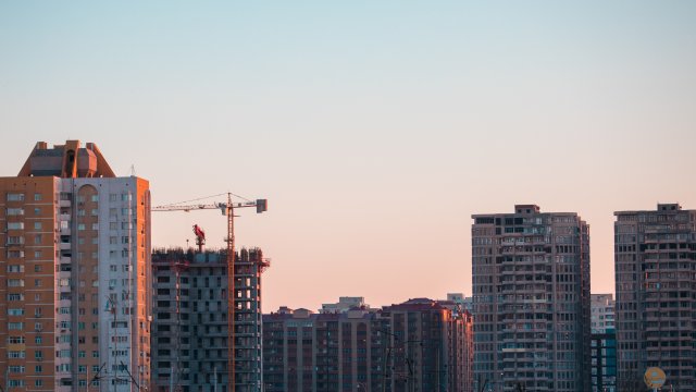Снимка: magnific