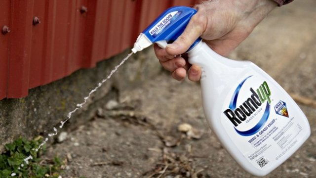 <p>
	Аграрният бизнес, в който базираната в Леверкузен компания се разшири през 2018 г. с поглъщането на Monsanto за милиарди долари, се превърна в стресов фактор. Снимка: Bloomberg</p>
