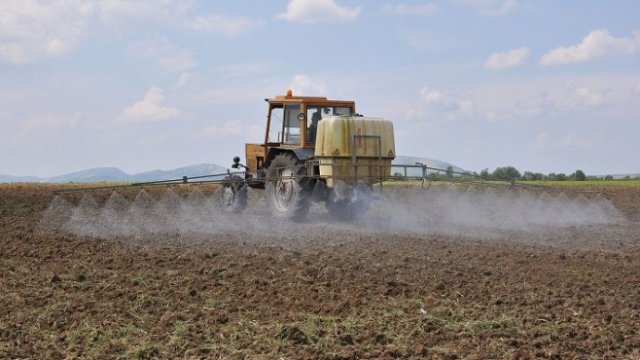 <p>
	<em>Снимка: БТА</em></p>
