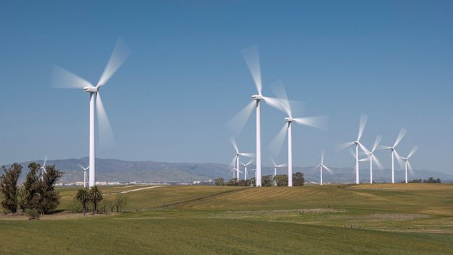 Снимка: Bloomberg LP