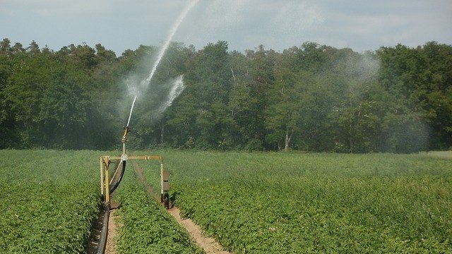 <p>
	<em>Снимка: Pixabay</em></p>
