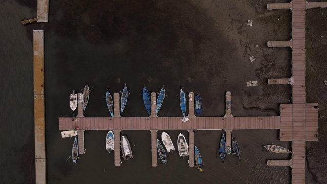 Снимка: EPA/БГНЕС