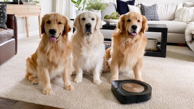 <p>
	<em>Снимка: iRobot Facebook Page</em></p>
