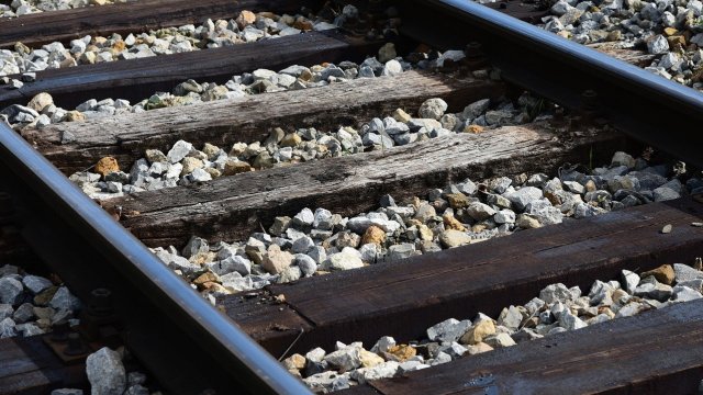 Снимка: Pixabay