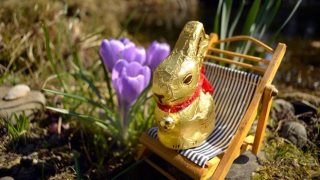 <p>
	<em>Снимка: Getty Images</em></p>
