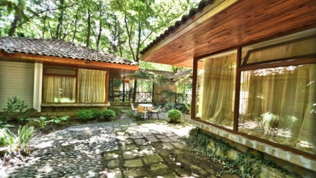<p>
	<em>Вили Ропотомо.</em> Снимка: forestbeach.bg</p>
