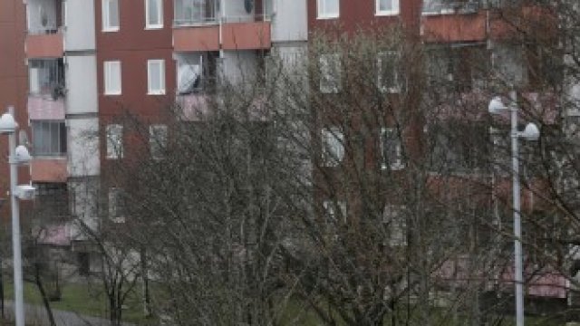 <p>
	<em>Снимка: Архив Ройтерс</em></p>
