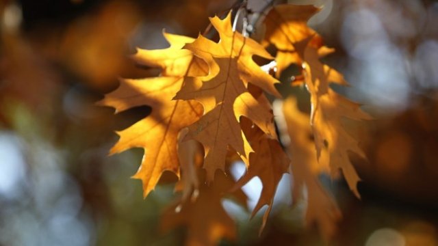 <p>
	<em>Снимка: Олег Попов, Investor Media Group</em></p>
