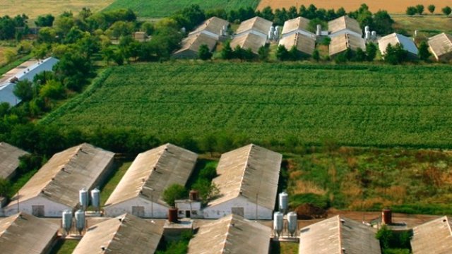 <p>
	<em>Снимка:&nbsp;gradus.bg</em></p>
