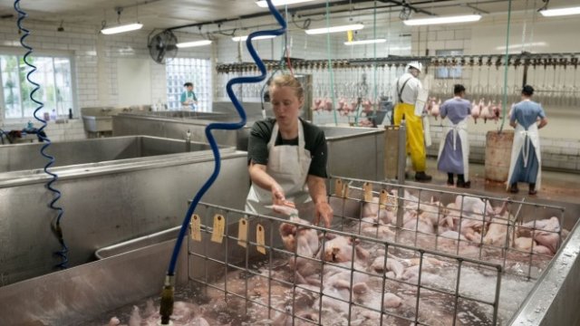 <p>
	<em>Снимка: Bloomberg</em></p>
