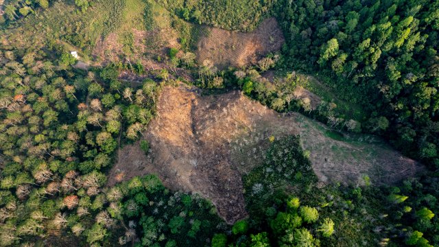 Снимка: Bloomberg