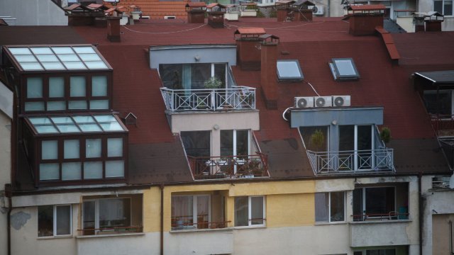 Снимка: Надежда Пеева, БГНЕС