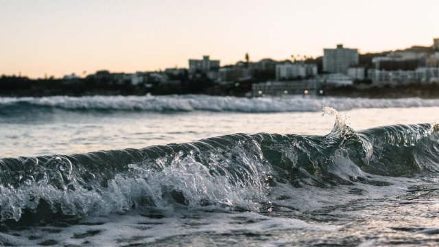 Снимка: Pixabay