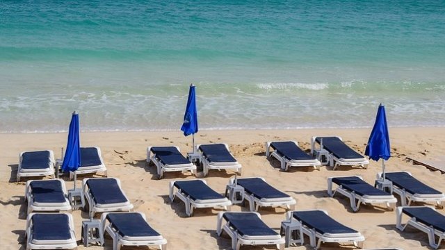 <p>
	<em>Снимка: Pixabay</em></p>
