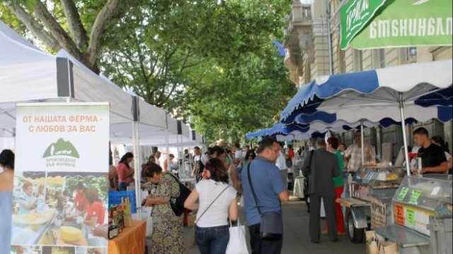 <p>
	<em>Снимка: Министерство на земеделието и храните</em></p>
