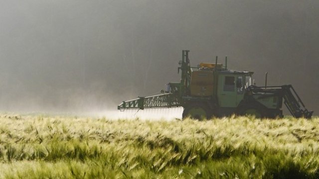 <p>
	<em>Снимка: Pixabay</em></p>
