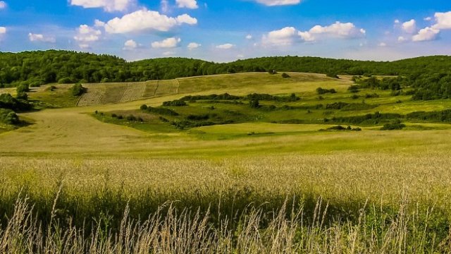 <p>
	<em>Снимка: Pixabay</em></p>
