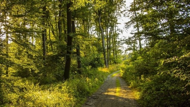 <p>
	<em>Снимка: Pixabay</em></p>
