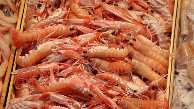 Снимка: Pixabay