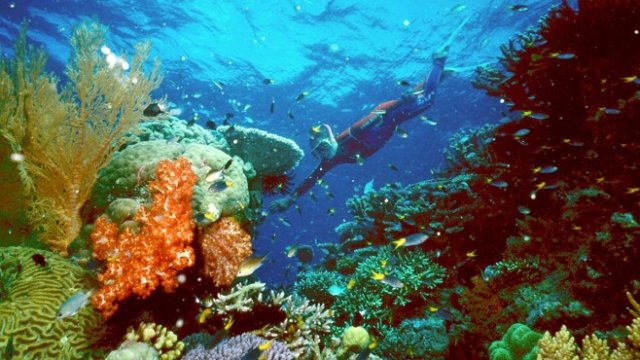 <p>
	<em>Снимка: Архив Ройтерс</em></p>
