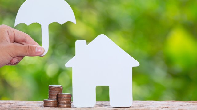 Снимка: freepik.com