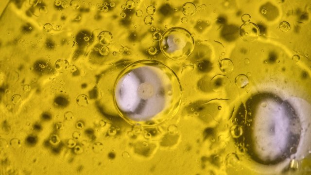 Снимка: Bloomberg