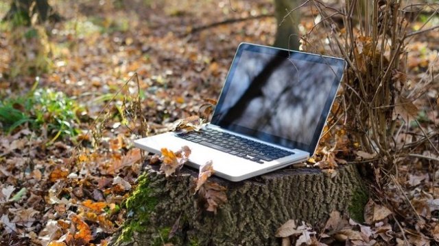 Георги Иванов: Все повече са проектите в IT сектора у нас