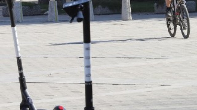 <p>
	<em>Снимка: Гергана Костадинова, БГНЕС</em></p>
