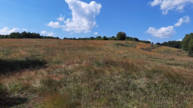 <p>
	<em>Снимка: Investor.bg</em></p>
