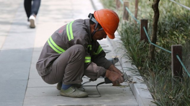 <p>
	<em>Снимка: Pixabay</em></p>
