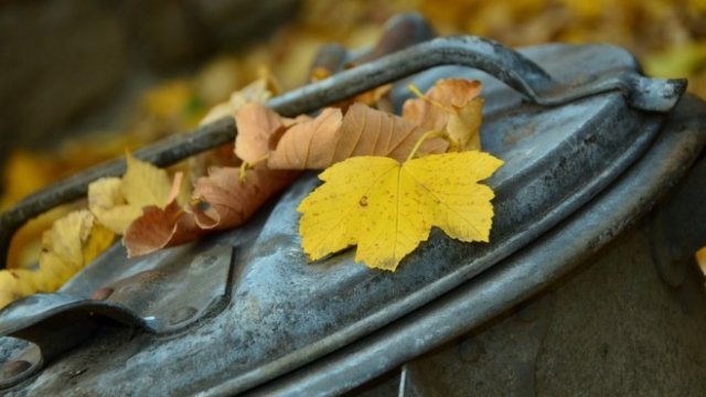 <p>
	<em font-size:="" pt="" style="color: rgb(102, 102, 102); font-family: ">Снимка: Pixabay</em></p>
