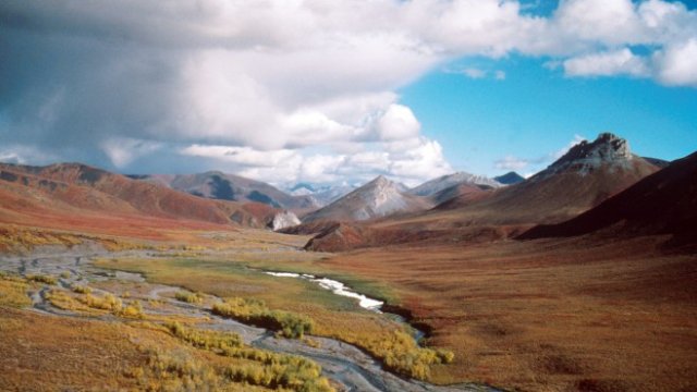 <p>
	<em>Снимка: Bloomberg L.P.</em></p>
