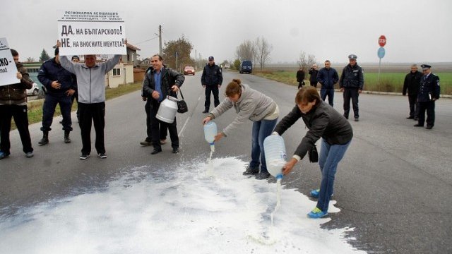 <p>
	Десетки литри мляко изляха фермери от Ямбол в знак на протест срещу отсъствието на държавата в кризисната ситуация в сектора. <em>Снимка: БТА</em></p>
