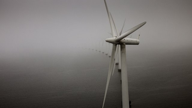 Снимка: Bloomberg LP