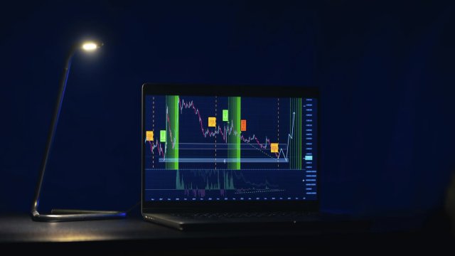 Снимка: freepik.com