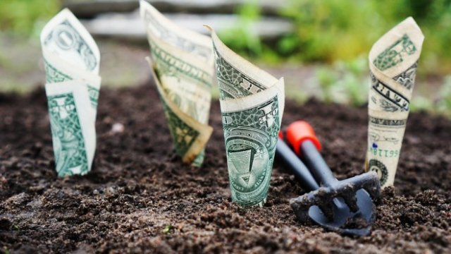 <p>
	<em>Снимка: Pixabay</em></p>
